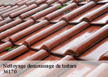 Nettoyage demoussage de toiture  36170