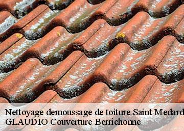 Nettoyage demoussage de toiture 36700