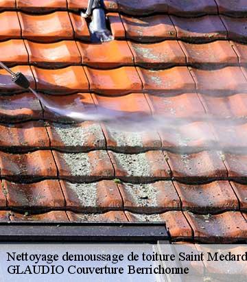 Nettoyage demoussage de toiture saint-medard-36700