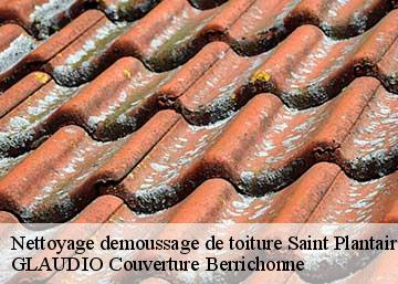 Nettoyage demoussage de toiture 36190