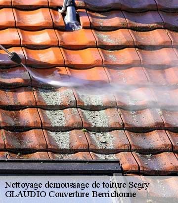 Nettoyage demoussage de toiture segry-36100
