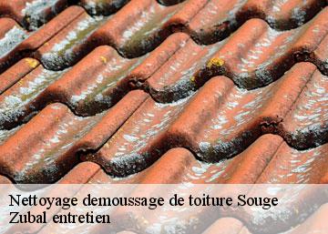 Nettoyage demoussage de toiture