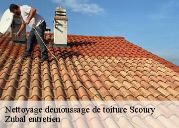 Nettoyage demoussage de toiture 36300