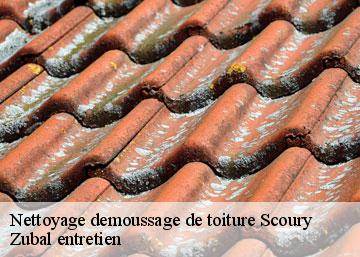Nettoyage demoussage de toiture