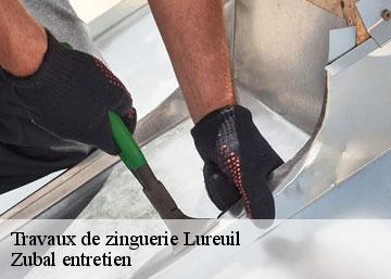 Travaux de zinguerie 36220