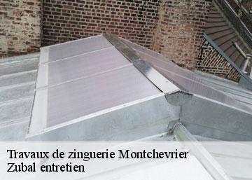 Travaux de zinguerie montchevrier-36140 Zubal entretien