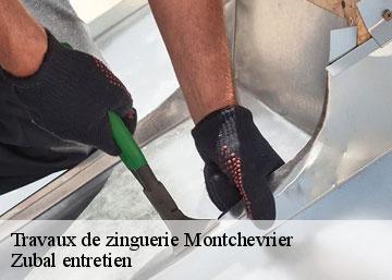 Travaux de zinguerie 36140