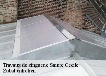 Travaux de zinguerie sainte-cecile-36210 Zubal entretien
