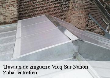 Travaux de zinguerie vicq-sur-nahon-36600 Zubal entretien