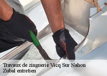 Travaux de zinguerie 36600