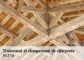 Traitement et changement de charpente 36370