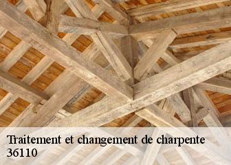 Traitement et changement de charpente  36110