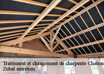 Traitement et changement de charpente