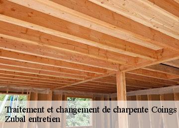 Traitement et changement de charpente coings-36130 Zubal entretien