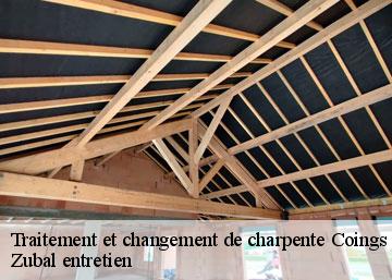 Traitement et changement de charpente