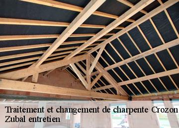 Traitement et changement de charpente