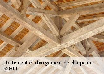 Traitement et changement de charpente 36800
