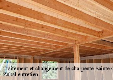 Traitement et changement de charpente sainte-cecile-36210 Zubal entretien