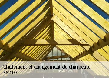 Traitement et changement de charpente 36210