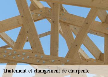 Traitement et changement de charpente