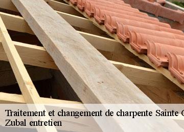 Traitement et changement de charpente 36210