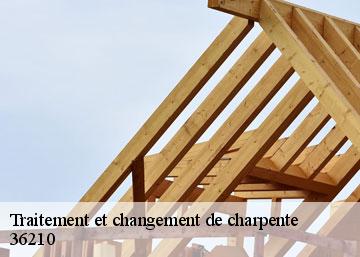 Traitement et changement de charpente