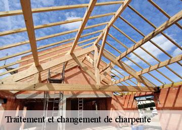Traitement et changement de charpente 36210
