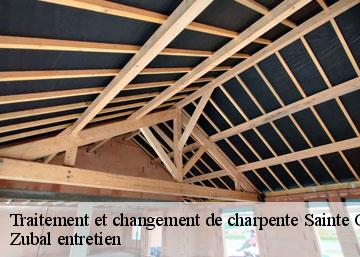 Traitement et changement de charpente