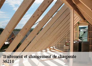 Traitement et changement de charpente 36210