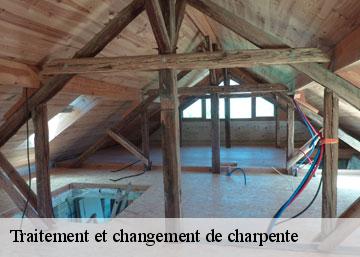 Traitement et changement de charpente