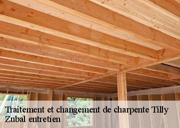 Traitement et changement de charpente  tilly-36310 Zubal entretien