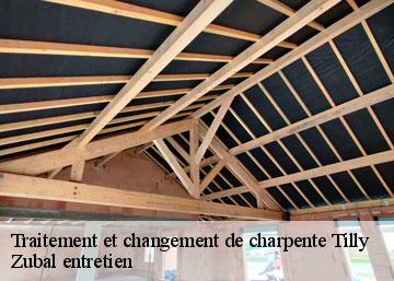 Traitement et changement de charpente