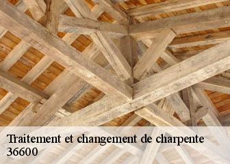 Traitement et changement de charpente 36600