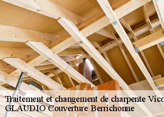 Traitement et changement de charpente 36600