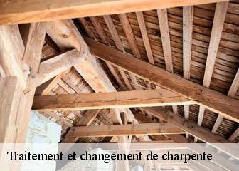 Traitement et changement de charpente  36600