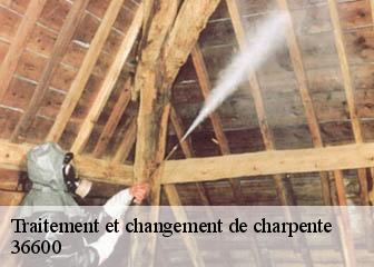 Traitement et changement de charpente 36600