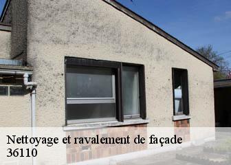 Nettoyage et ravalement de façade 36110