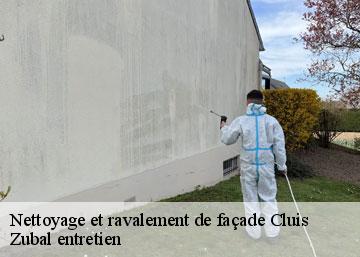 Nettoyage et ravalement de façade cluis-36340 Zubal entretien