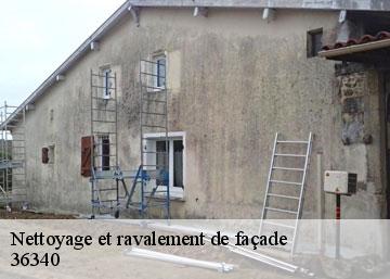 Nettoyage et ravalement de façade 36340