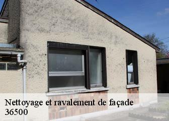 Nettoyage et ravalement de façade 36500