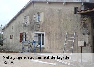 Nettoyage et ravalement de façade 36800
