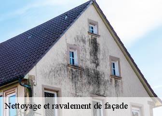 Nettoyage et ravalement de façade  36600