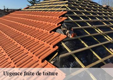Urgence fuite de toiture
