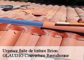 Urgence fuite de toiture 36110