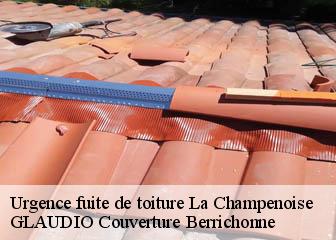 Urgence fuite de toiture 36100