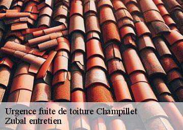 Urgence fuite de toiture 36160