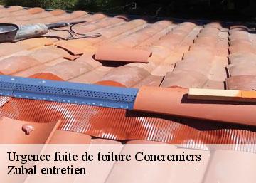Urgence fuite de toiture concremiers-36300 Zubal entretien