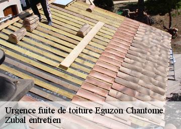 Urgence fuite de toiture