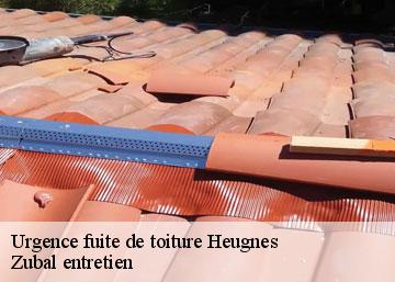 Urgence fuite de toiture heugnes-36180 Zubal entretien