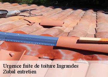 Urgence fuite de toiture ingrandes-36300 Zubal entretien